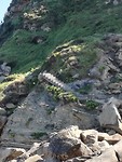 De weg naar de kleine baai.