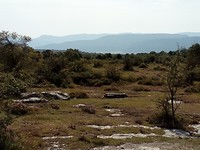 Reservaat bij Berberana.
