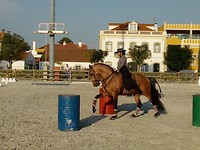 Wedstrijd in Golego.