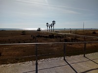 Uitzicht op zee bij Vilanova.