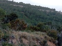 Omgeving Navajas.