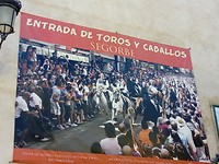Poster van de intocht.