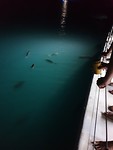 20190324_185516