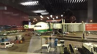 IMG_20190212_195109871_LL
