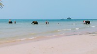 IMG_20190214_123455751
