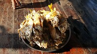 20190216_162053