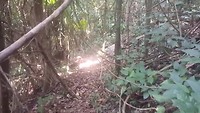 20190218_112936_1