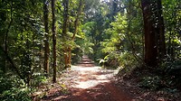 20190220_104706