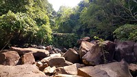 20190220_110438