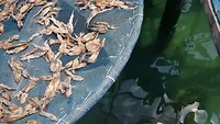 20190221_113142