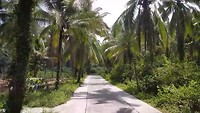 20190221_121235_1