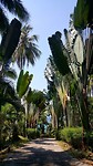 20190221_123314