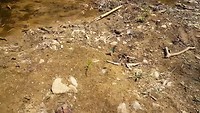 20190225_113807_1