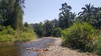 20190225_114002