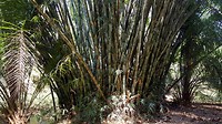 20190225_112304