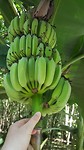 20190225_104644