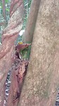 20190226_133937