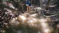 20190226_133011