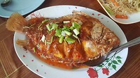 20190226_115806