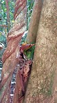 20190226_133935