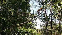 20190227_144210