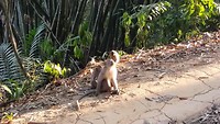 20190227_173102