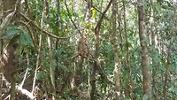 20190227_144114