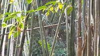 20190227_173140