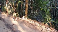 20190227_172744_1