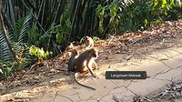 20190227_193052