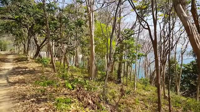 20190301_141556