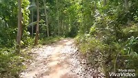 XiaoYing_Video_1551507577131_HD