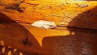 20190303_162205