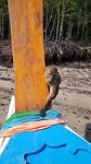 20190303_144619