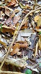 20190304_133149