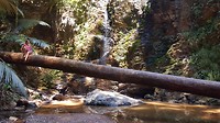 20190304_134031