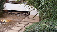 20190304_175205