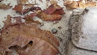 20190305_124048