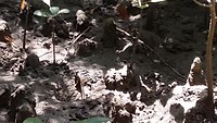 20190306_135749_1