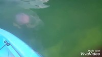 XiaoYing_Video_1552044657088_HD