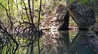 20190309_123919
