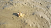 20190309_163455