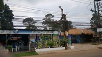 20190215_101751