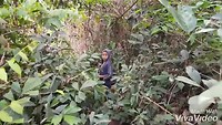 XiaoYing_Video_1552553503880_HD