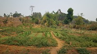 20190314_103740