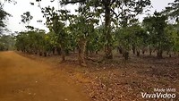 XiaoYing_Video_1552731231445_HD