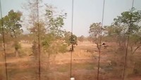 20190320_091130