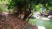 20190321_133245