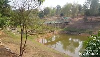 XiaoYing_Video_1553254341927_HD