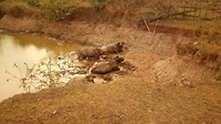 20190323_160024